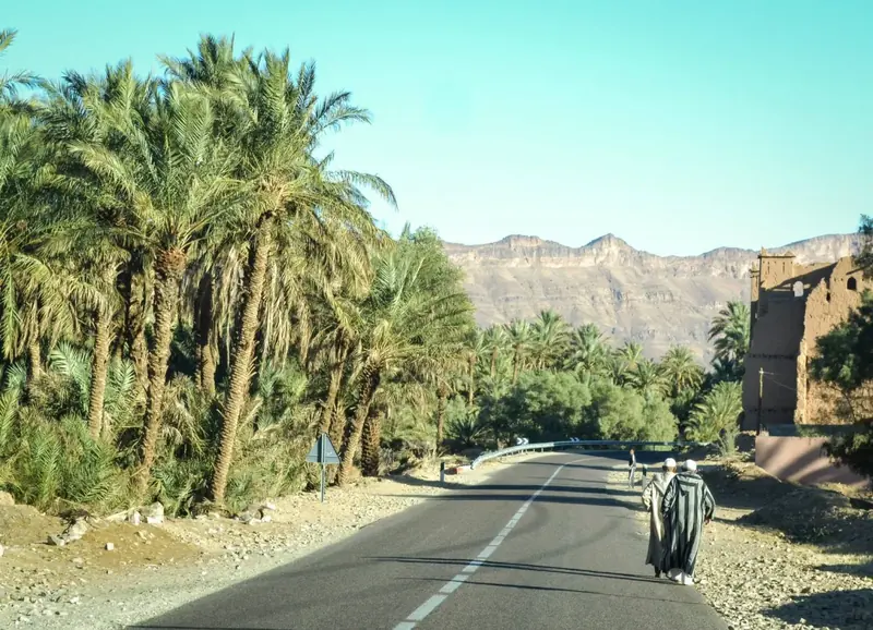 Road through the palm groves of the Draa Valley