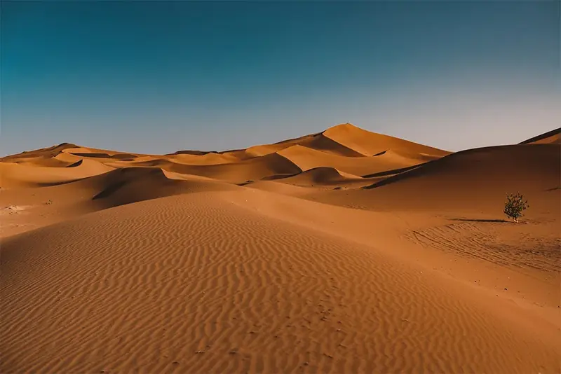 Golden dunes of Erg Chebbi