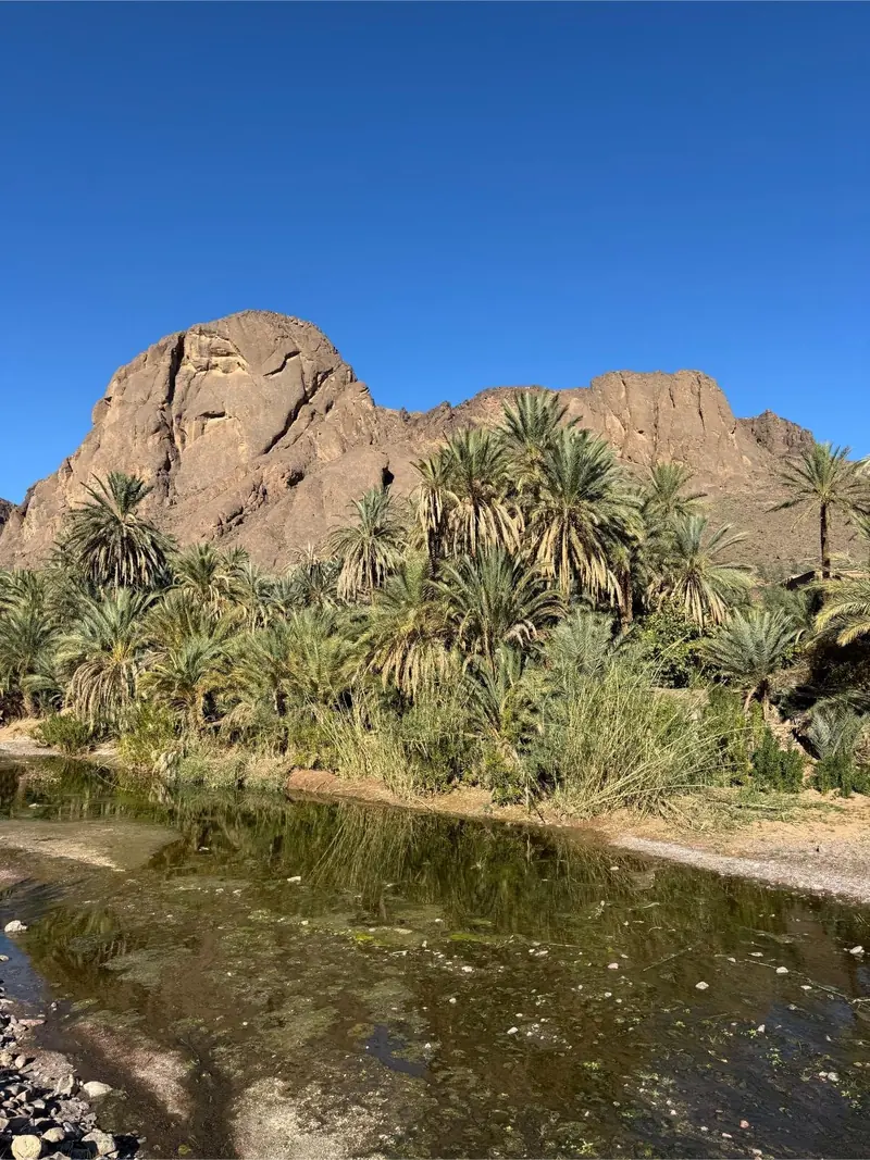 A pool of the Fint river under palms and rock